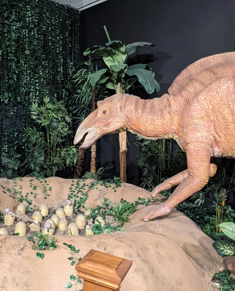 MOST, Syracuse MOST, Syracuse