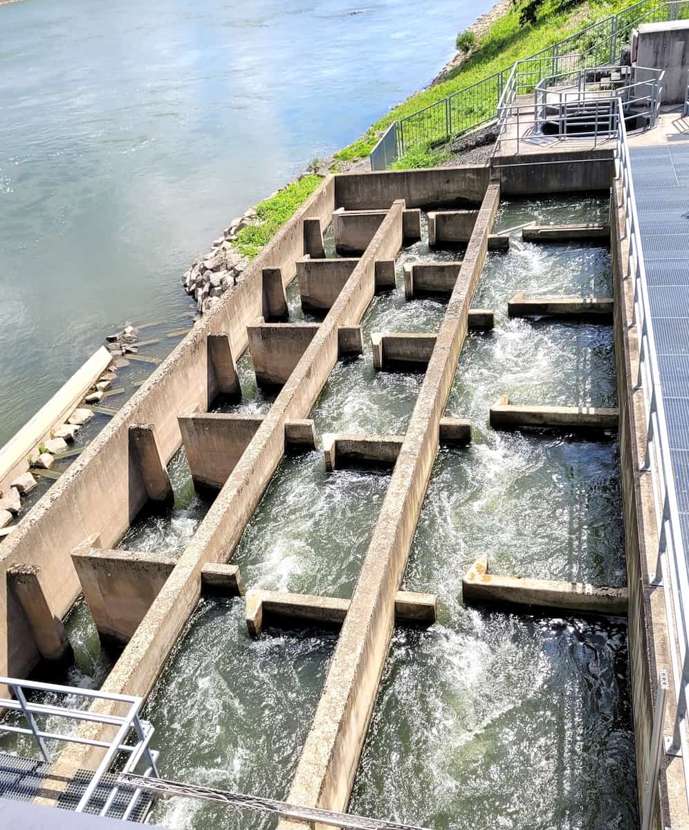 Mosellum Experience Center Koblenz Mosellum Experience Center Koblenz