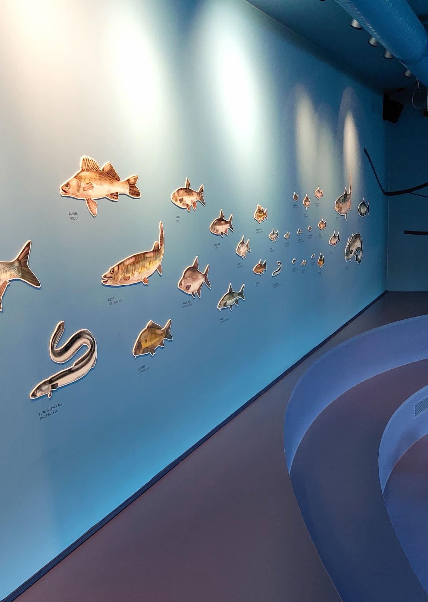 Mosellum Experience Center Koblenz Mosellum Experience Center Koblenz