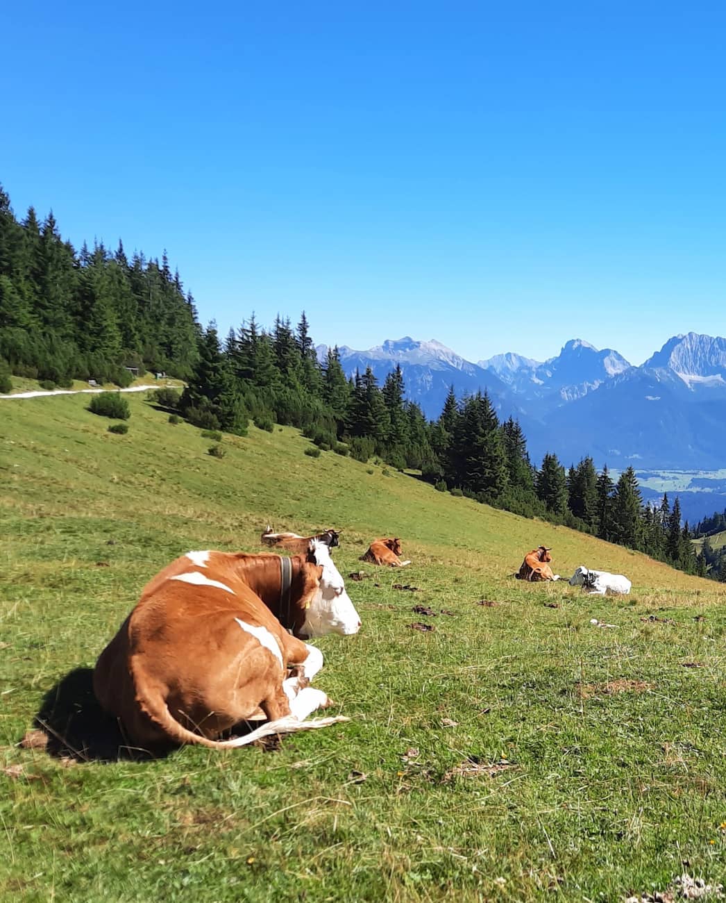 Mount Wank Garmisch Partenkirchen Mount Wank Garmisch Partenkirchen