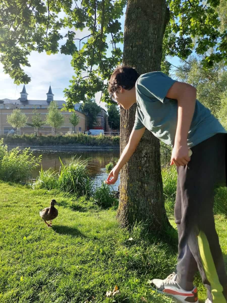 Munke Mose Park, Odense Munke Mose Park, Odense