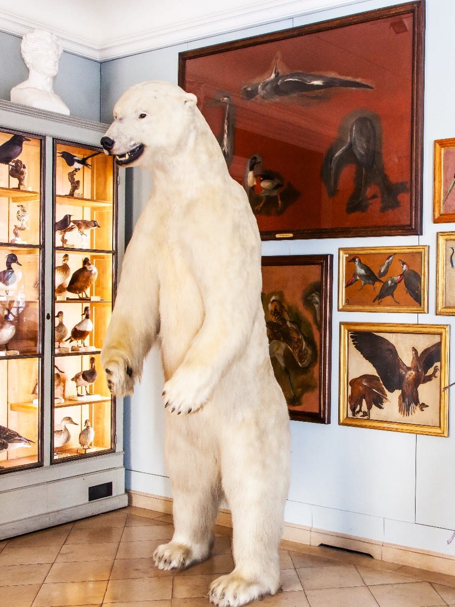 Inside of Museum of Hunting and Nature, Le Marais Inside of Museum of Hunting and Nature, Le Marais