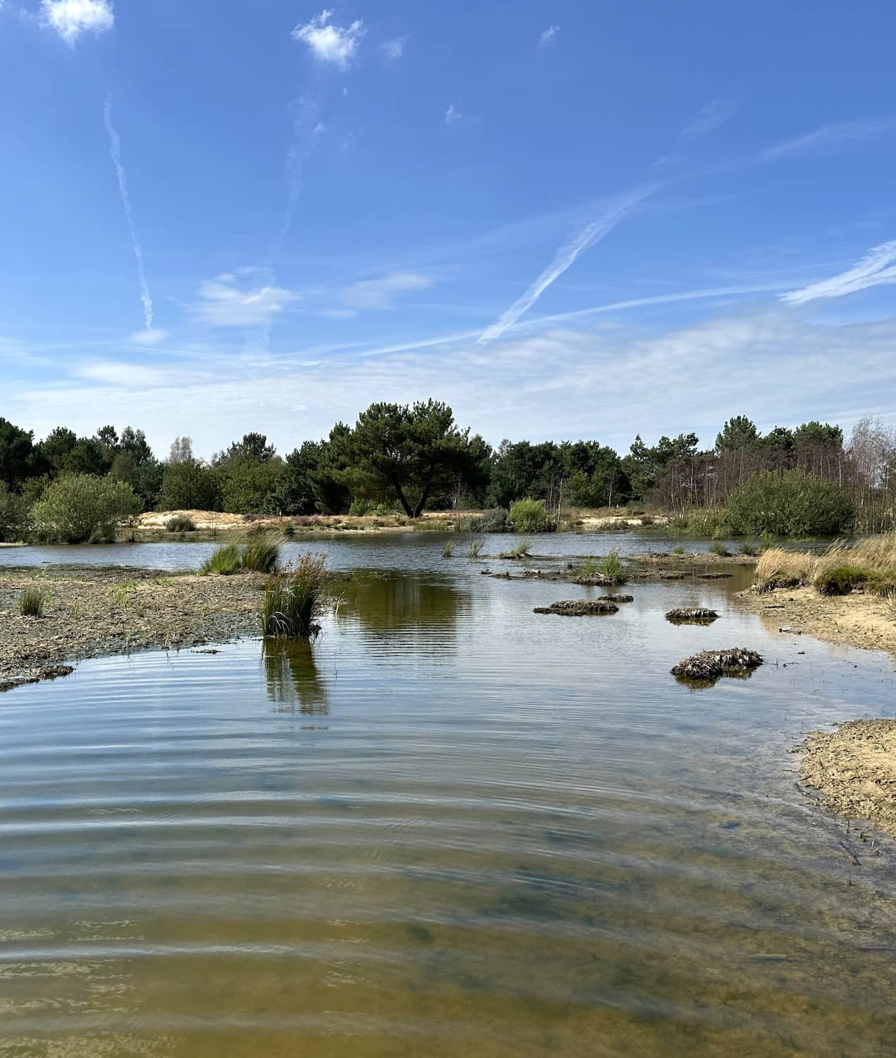 National Park De Loonse en Drunense Duinen National Park De Loonse en Drunense Duinen