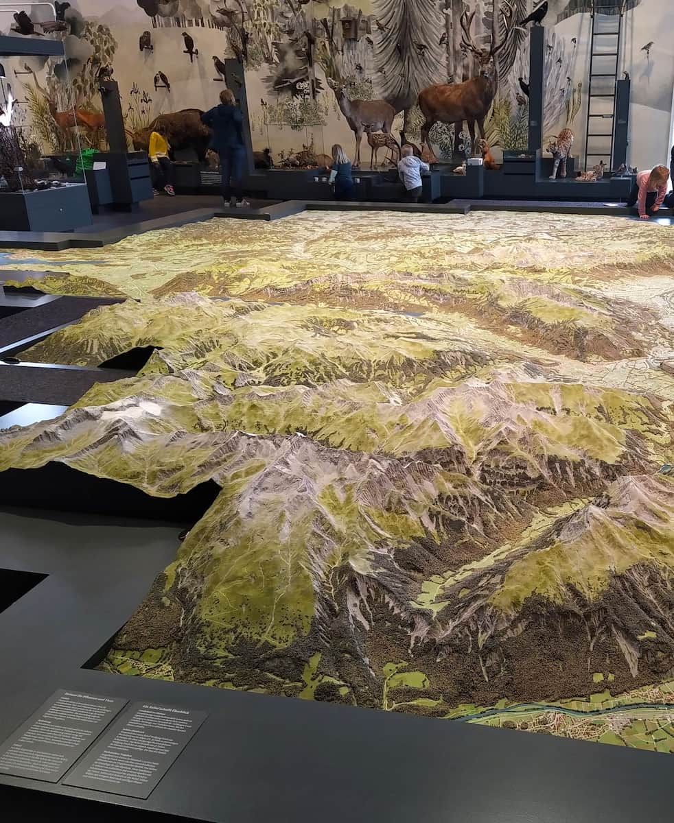 Natural History Museum St Gallen Natural History Museum St Gallen