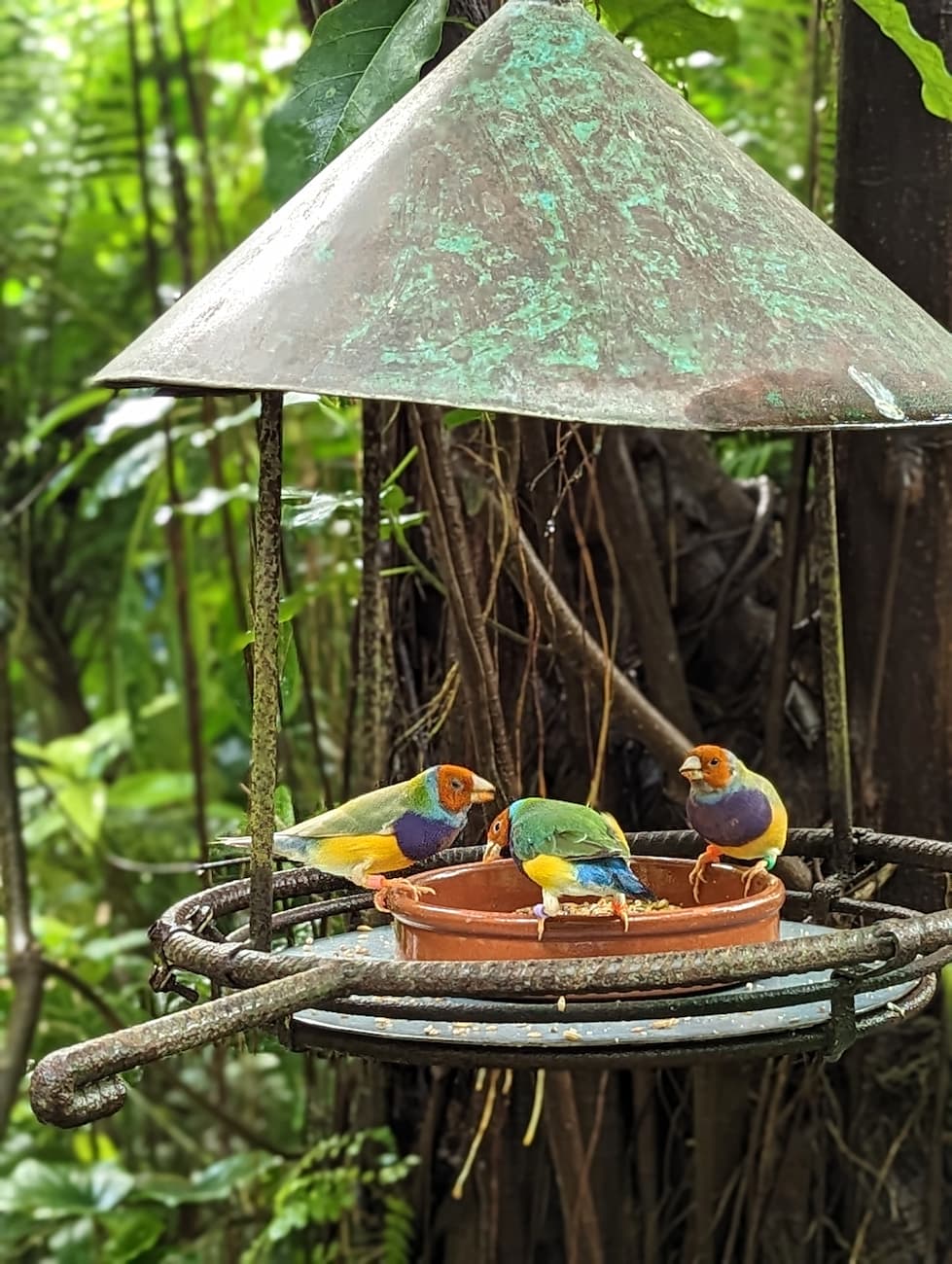 Naturospace Butterfly House, Honfleur Naturospace Butterfly House, Honfleur