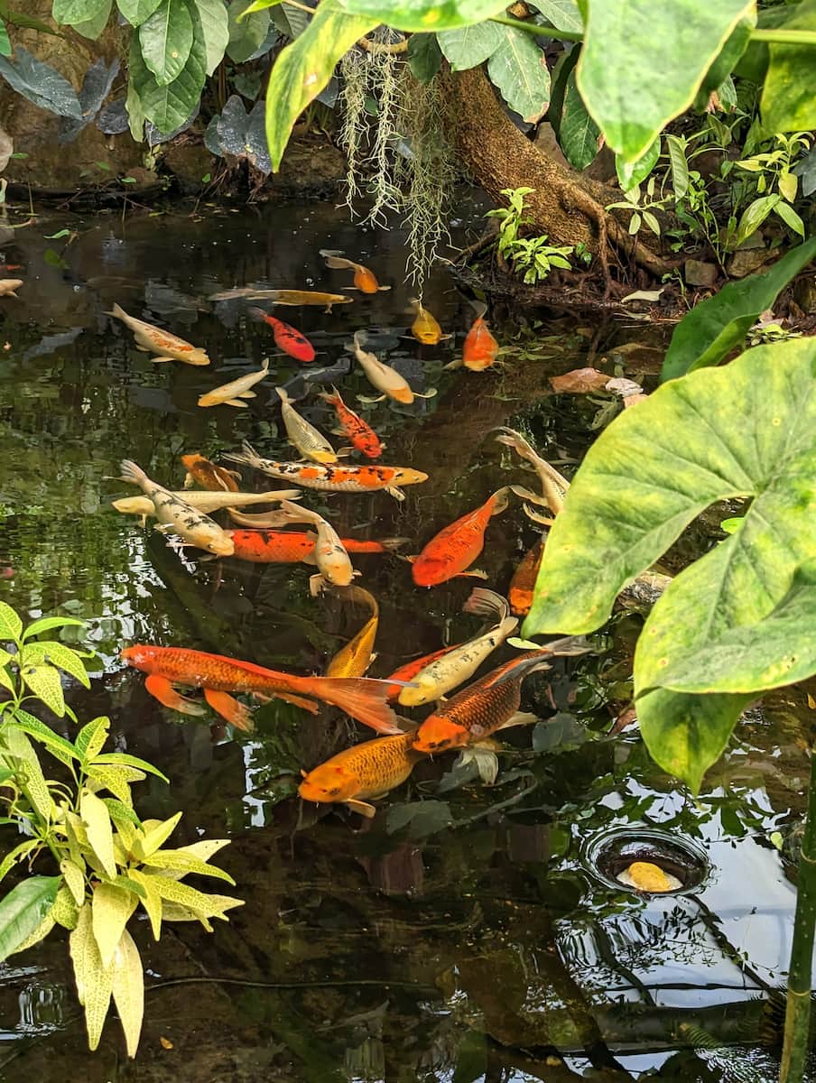 Naturospace Butterfly House, Honfleur Naturospace Butterfly House, Honfleur