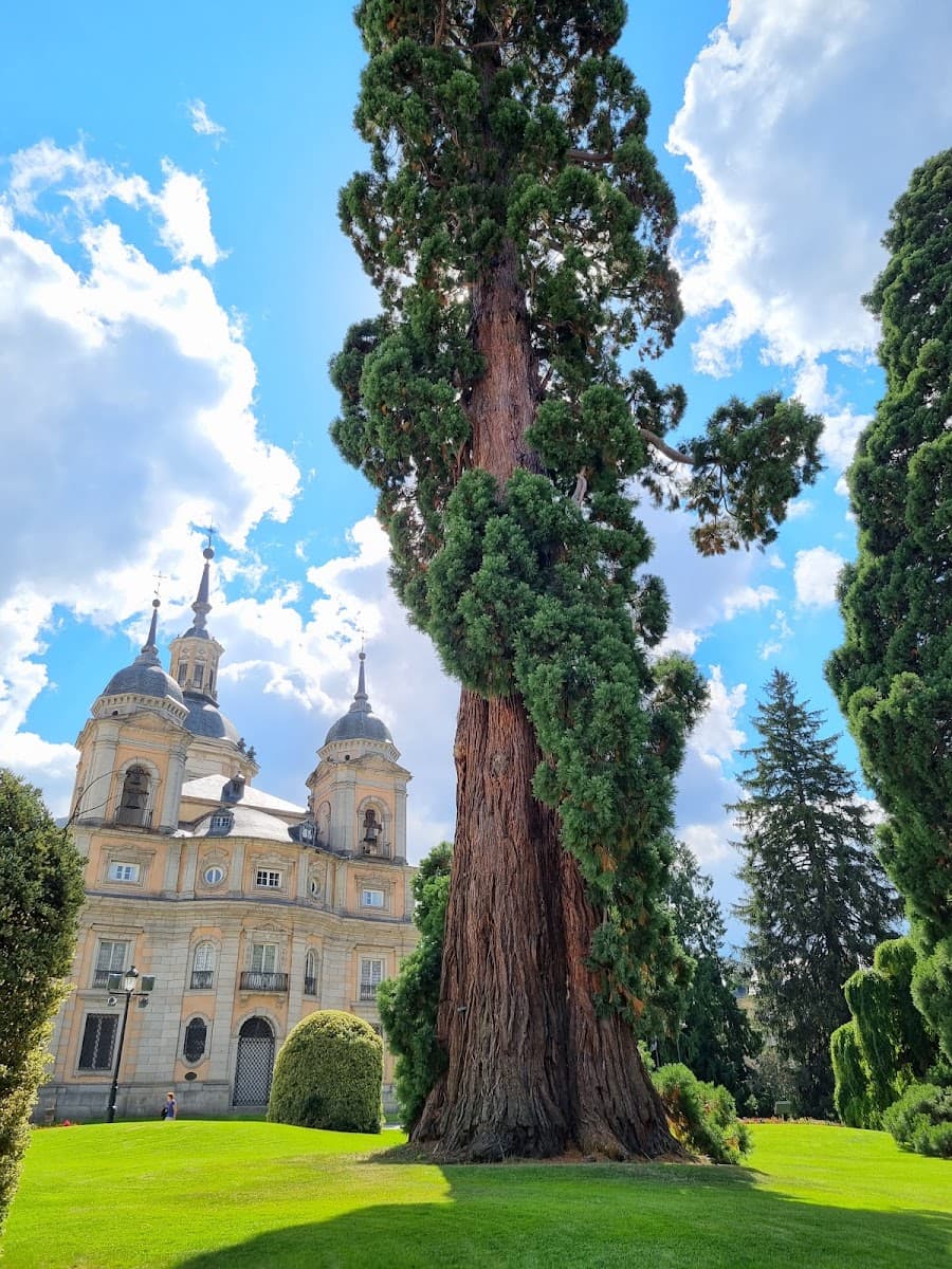 Palacio Real de La Granja de San Ildefonso, Segovia Palacio Real de La Granja de San Ildefonso, Segovia