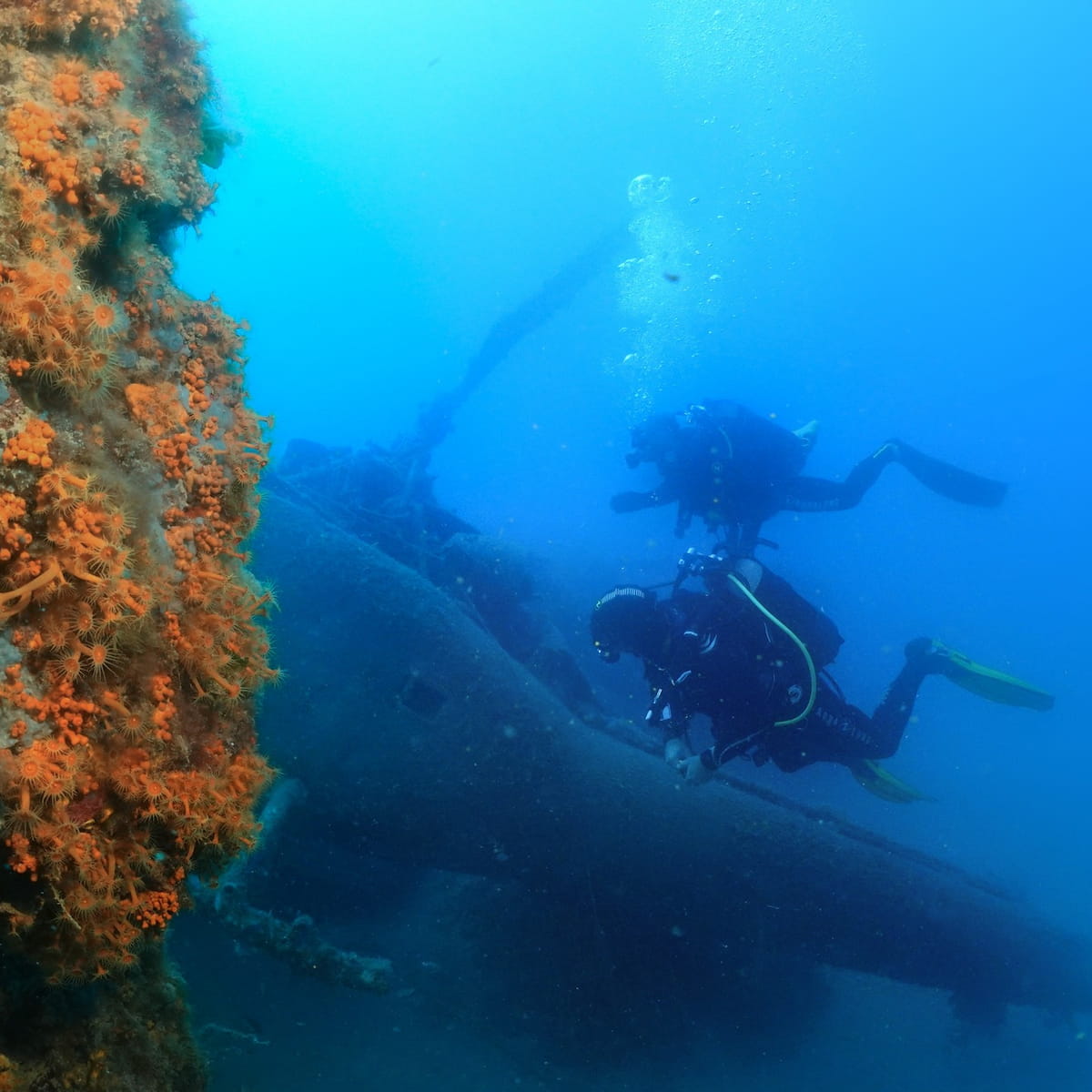 Palmes Beach, Menton Palmes Beach, Menton