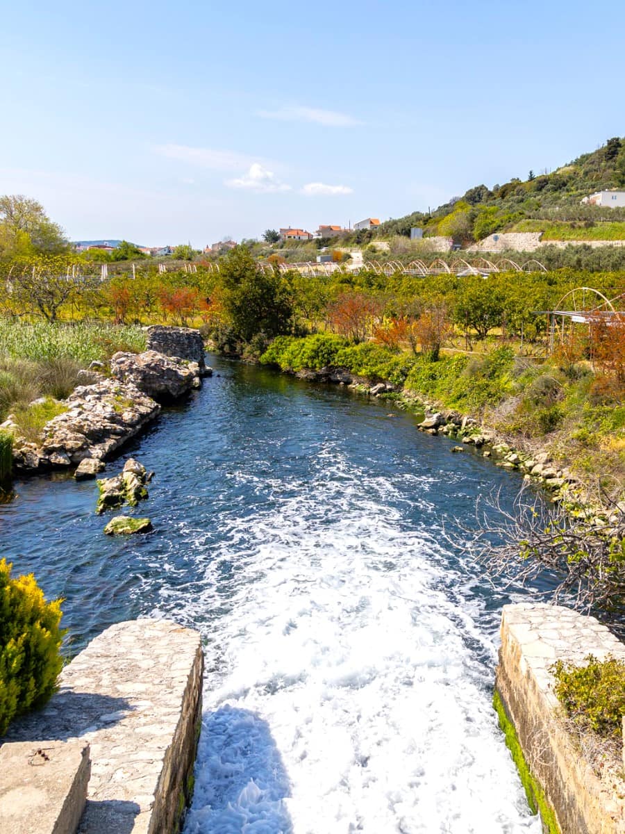 Pantan Nature Reserve, Trogir Pantan Nature Reserve, Trogir