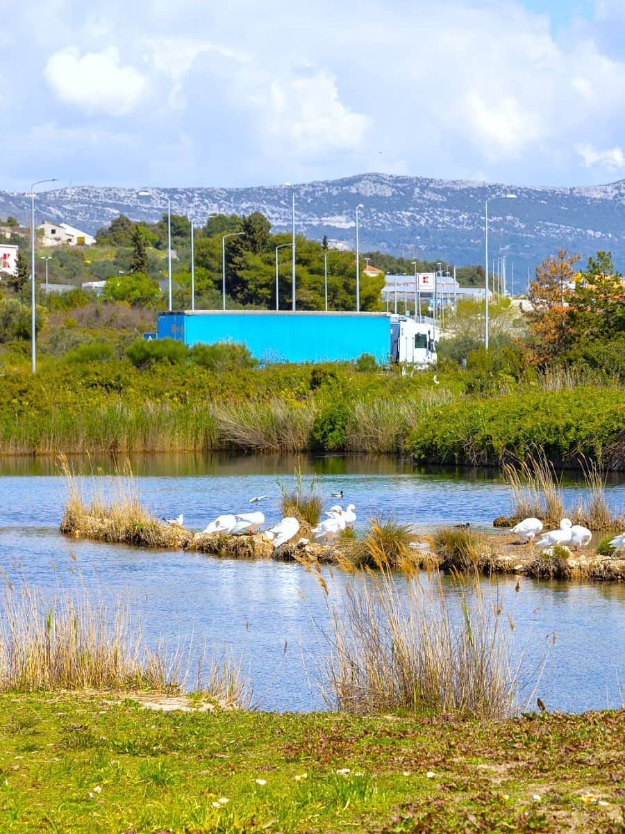 Pantan Nature Reserve, Trogir Pantan Nature Reserve, Trogir