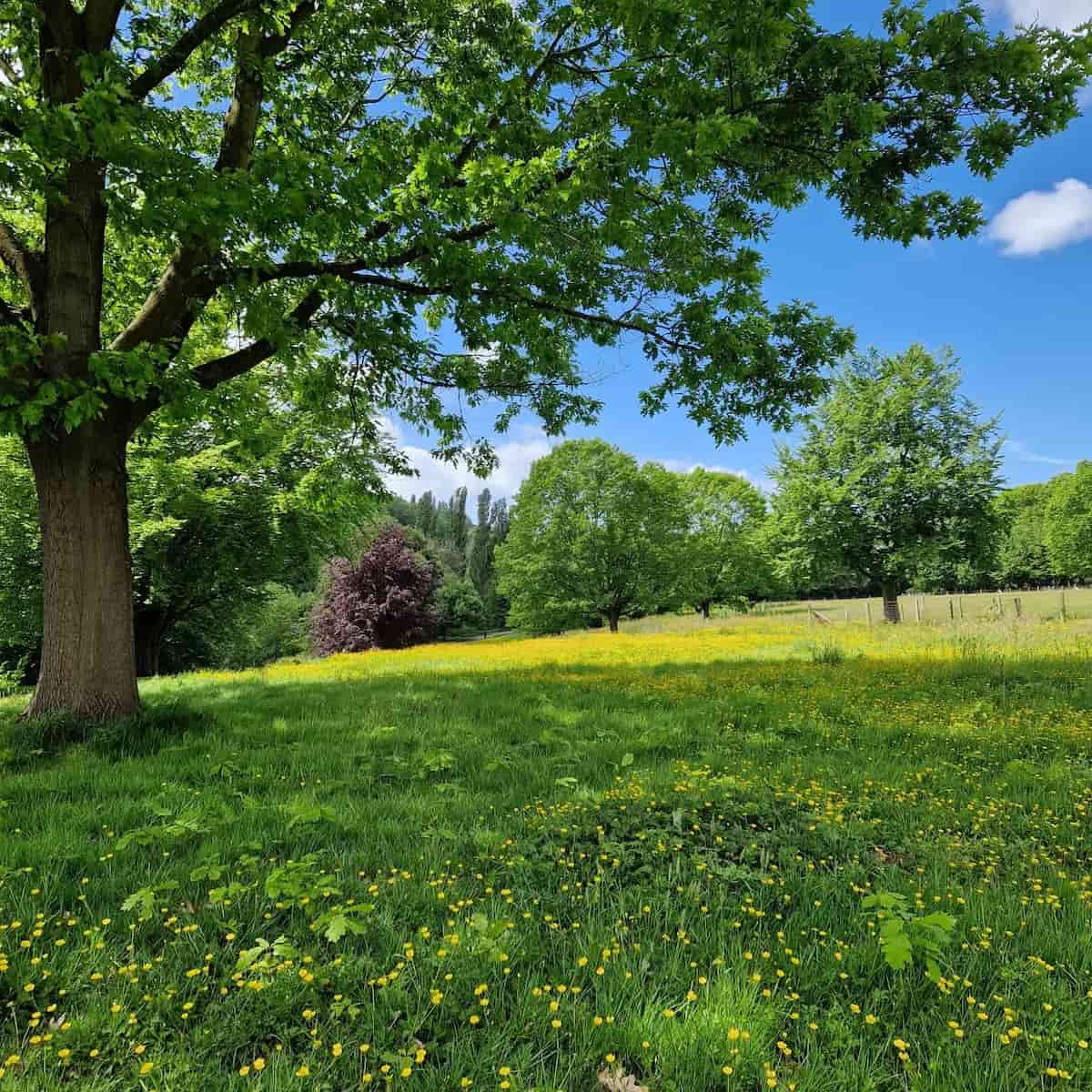 Parc de Rouelles, Le Havre Parc de Rouelles, Le Havre