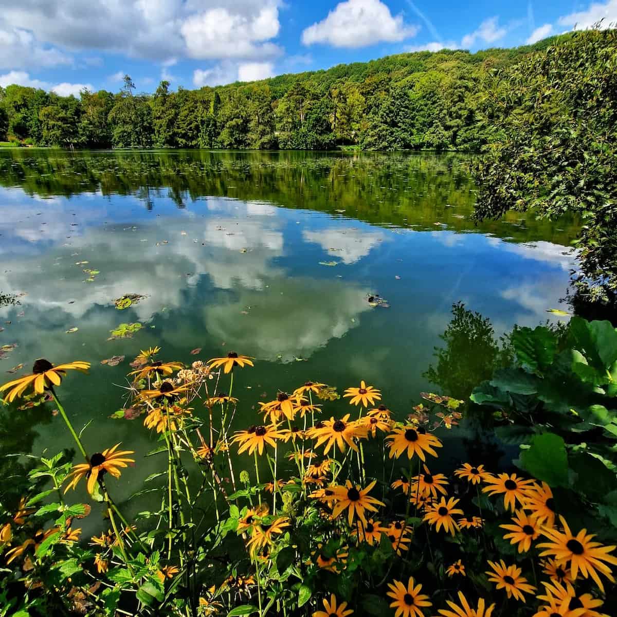 Parc de Rouelles, Le Havre Parc de Rouelles, Le Havre