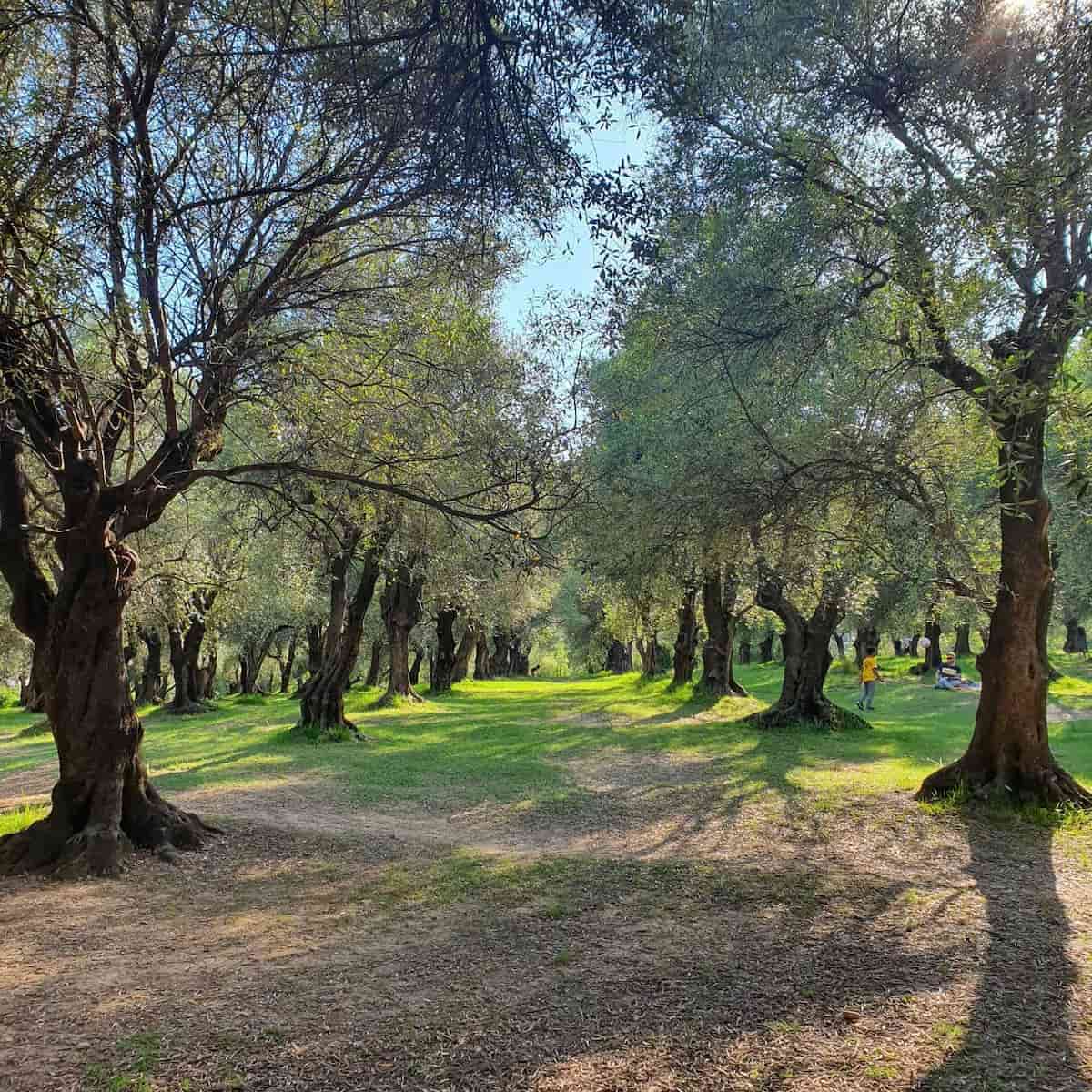 Parc du Pian Mini Golf, Menton Parc du Pian Mini Golf, Menton