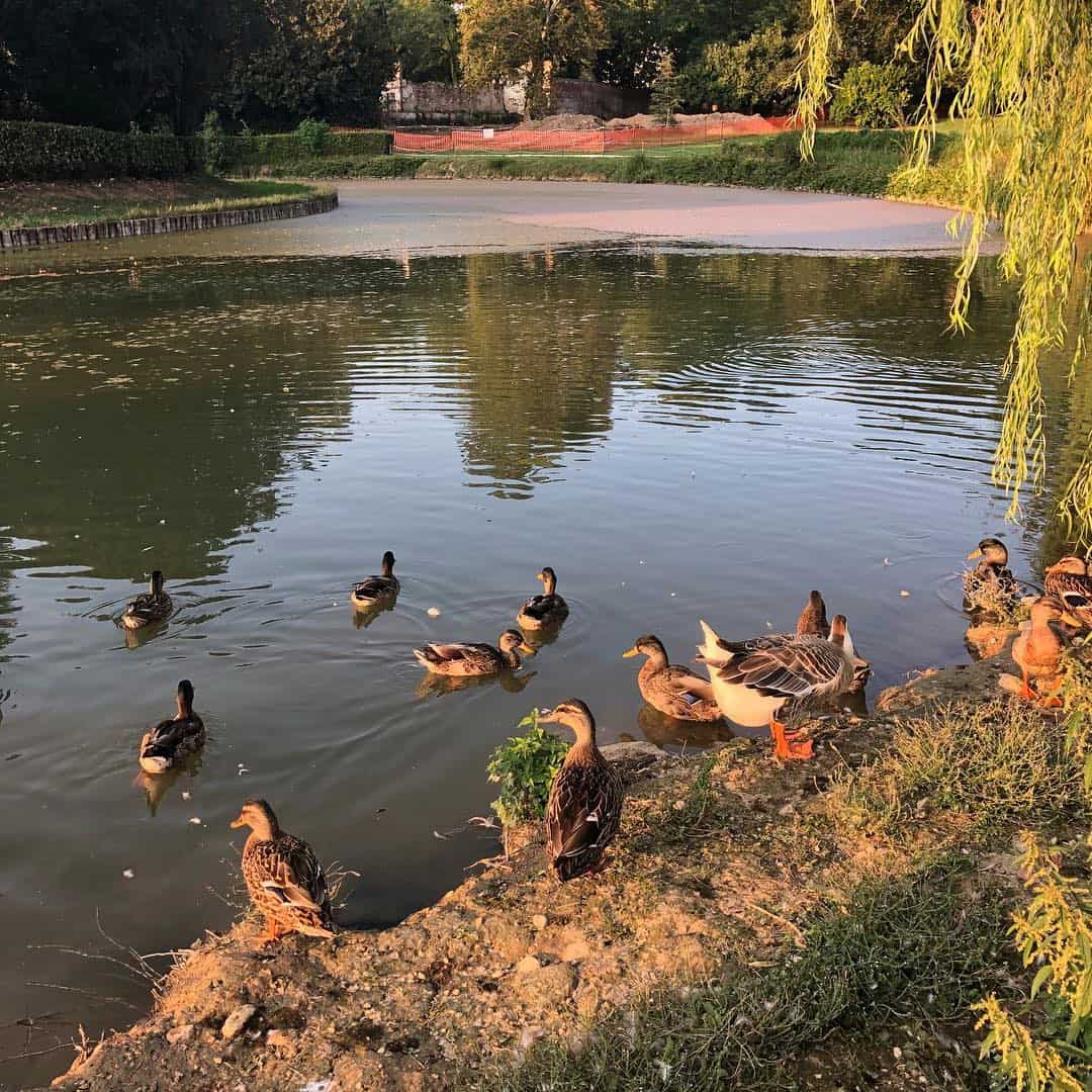 Parco Querini, Vicenza Parco Querini, Vicenza