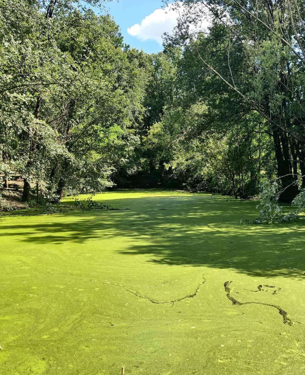 Parco delle Colline Brescia