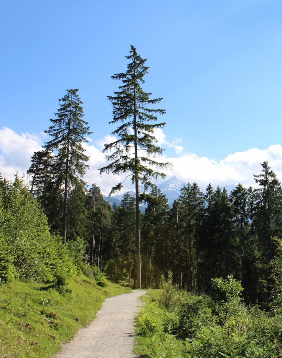 Philosophenweg Trail Walks Garmisch Partenkirchen Philosophenweg Trail Walks Garmisch Partenkirchen