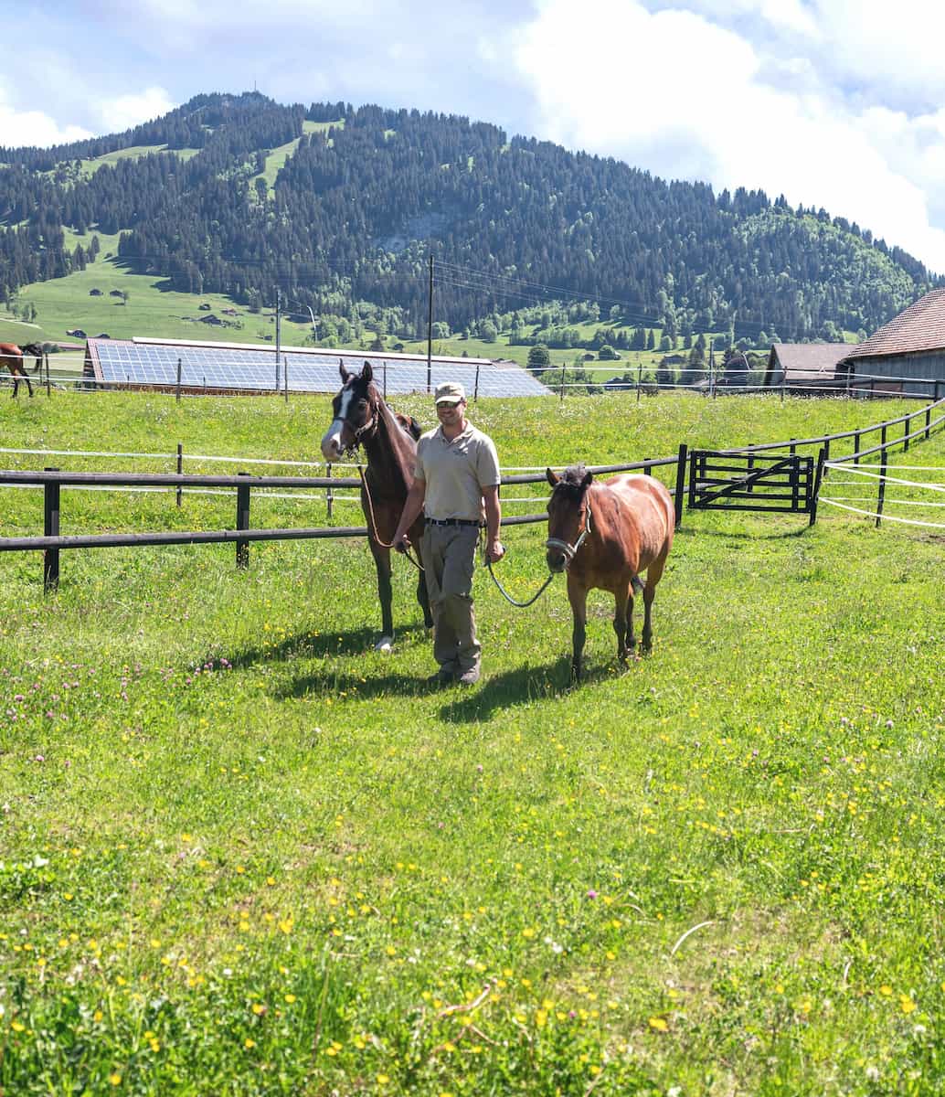 Reitschule Gstaad Reitschule Gstaad