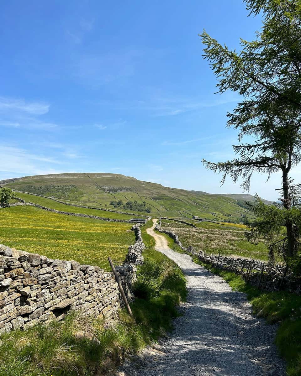 Road from Richmond to Reath