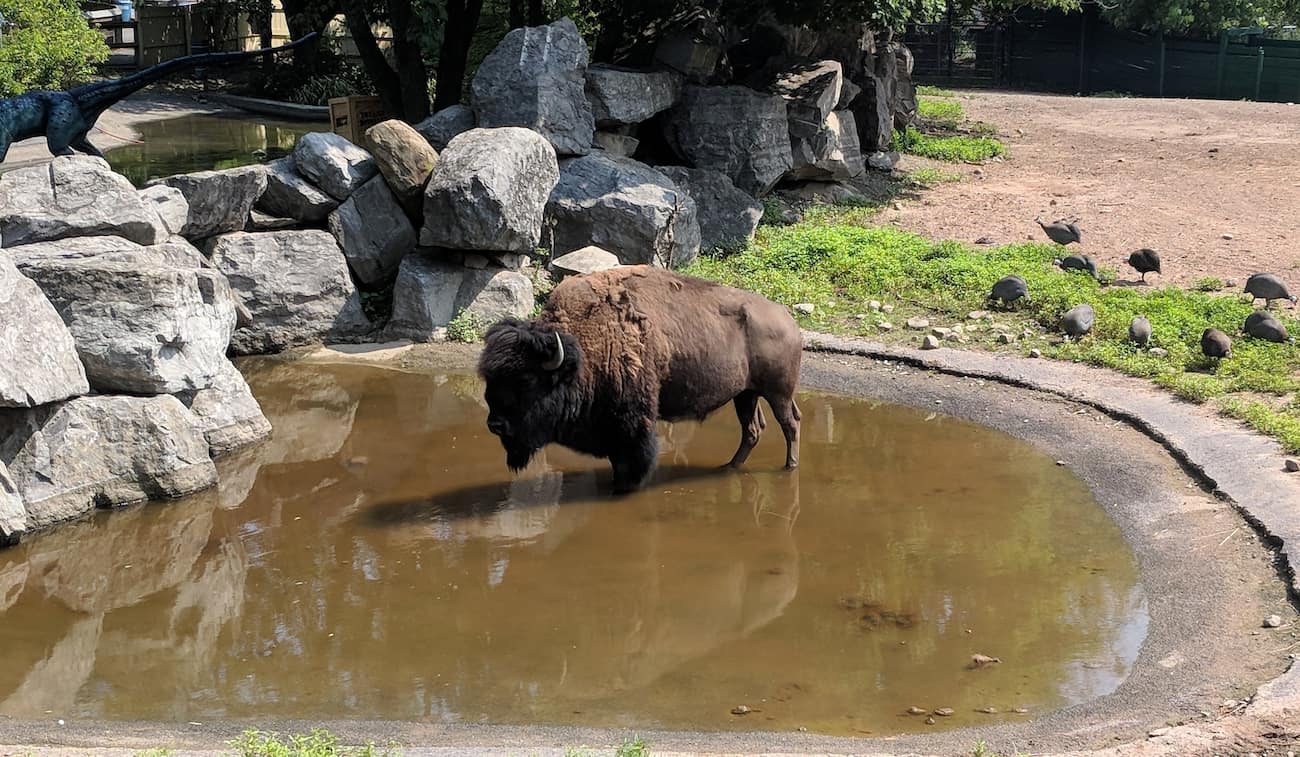 Rosamond Gifford Zoo Rosamond Gifford Zoo