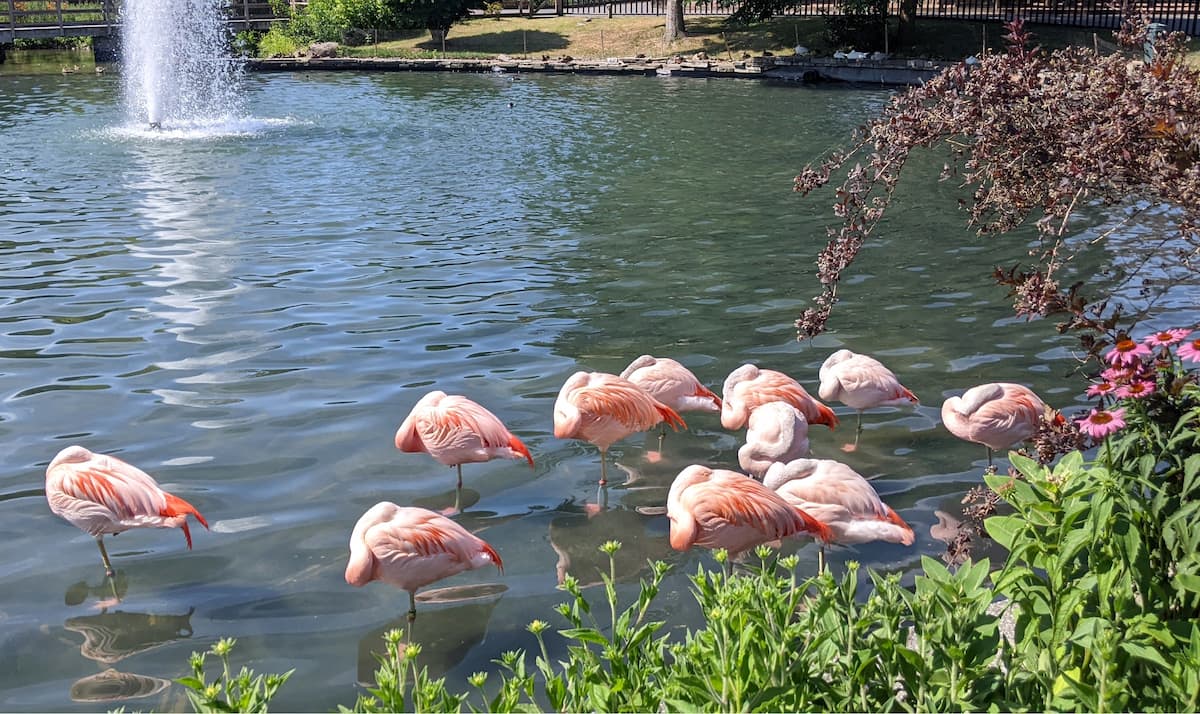 Rosamond Gifford Zoo Rosamond Gifford Zoo