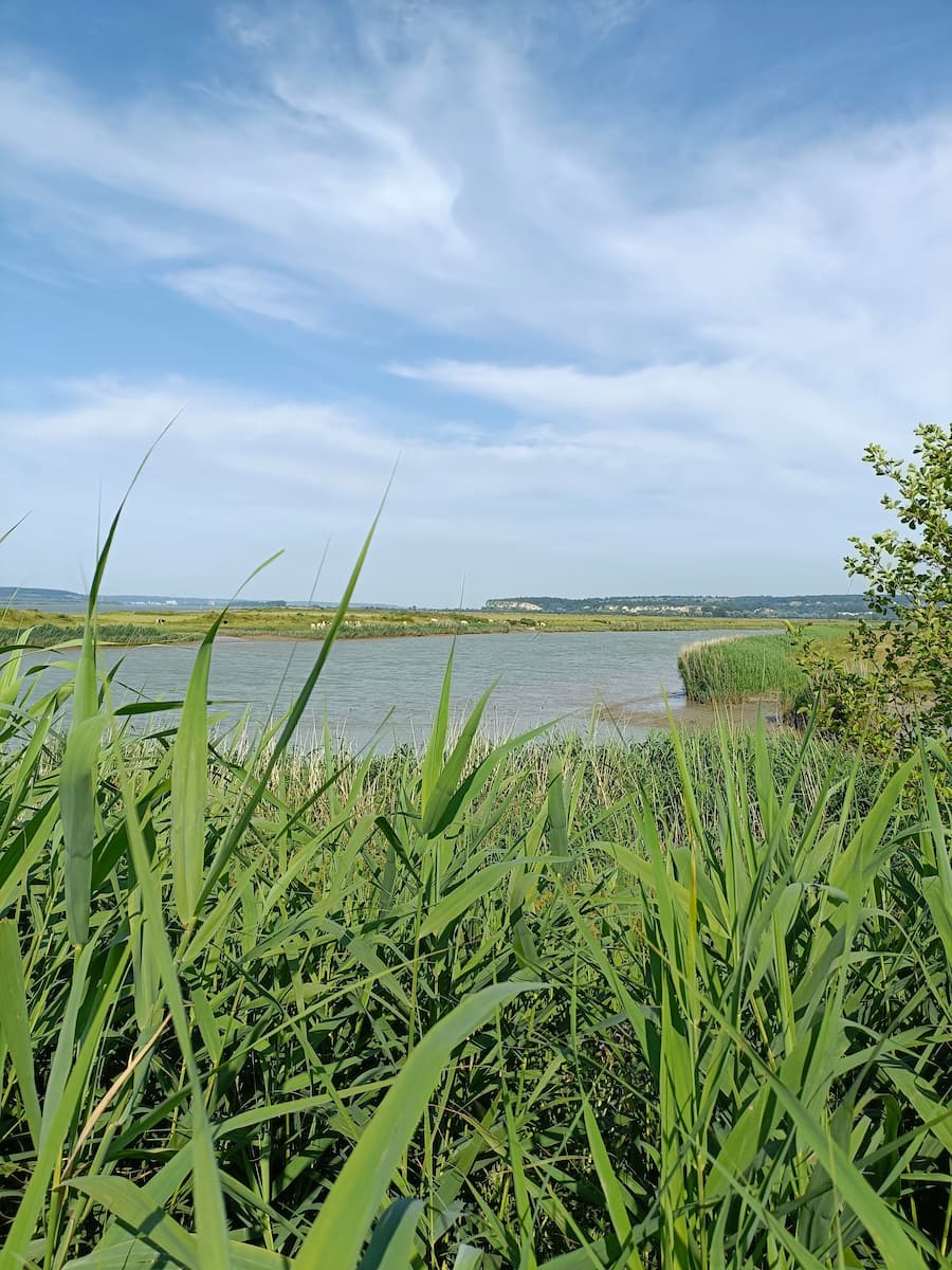 Sentier à Fl'Eure d'Eau, Honfleur Sentier à Fl'Eure d'Eau, Honfleur