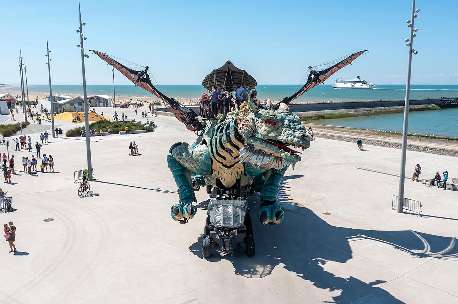 Sentinel Iguana Calais