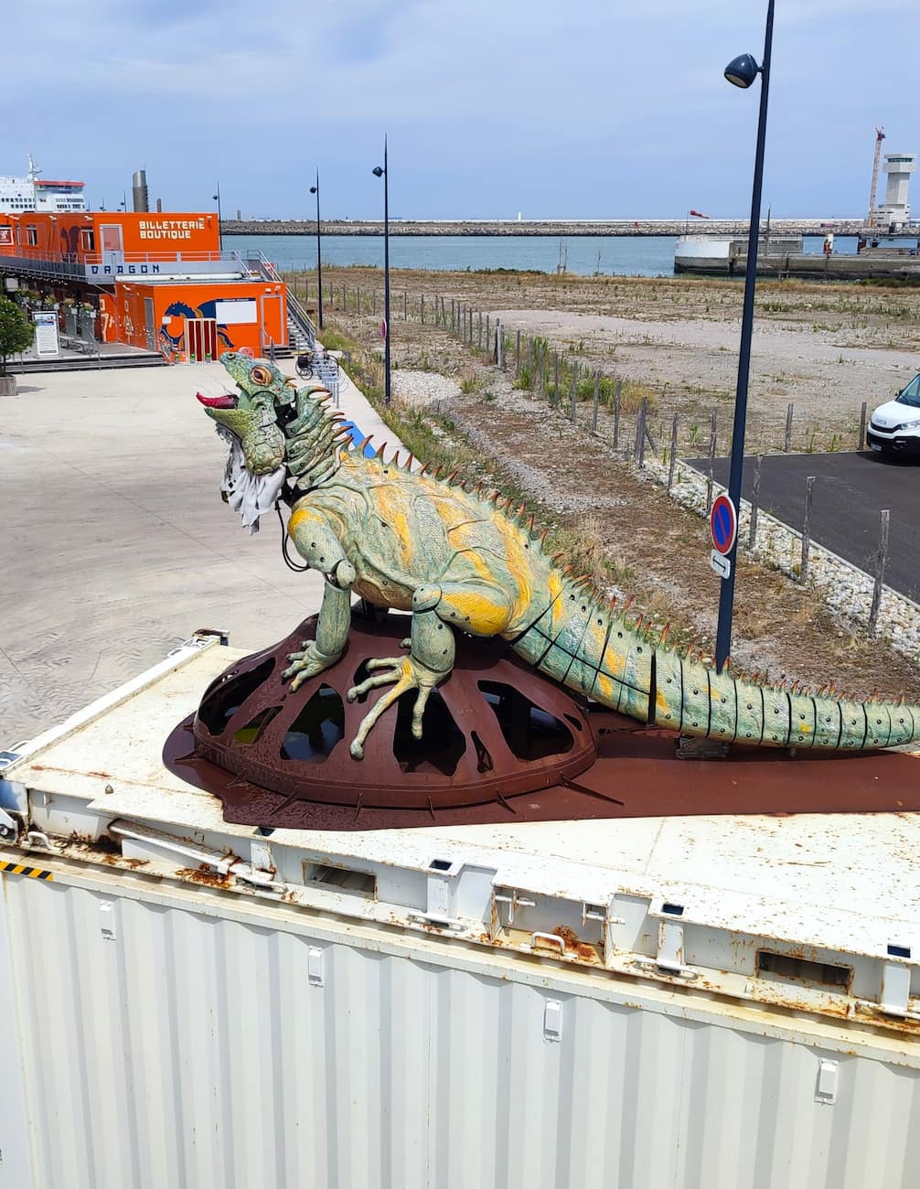 Sentinel Iguana Calais