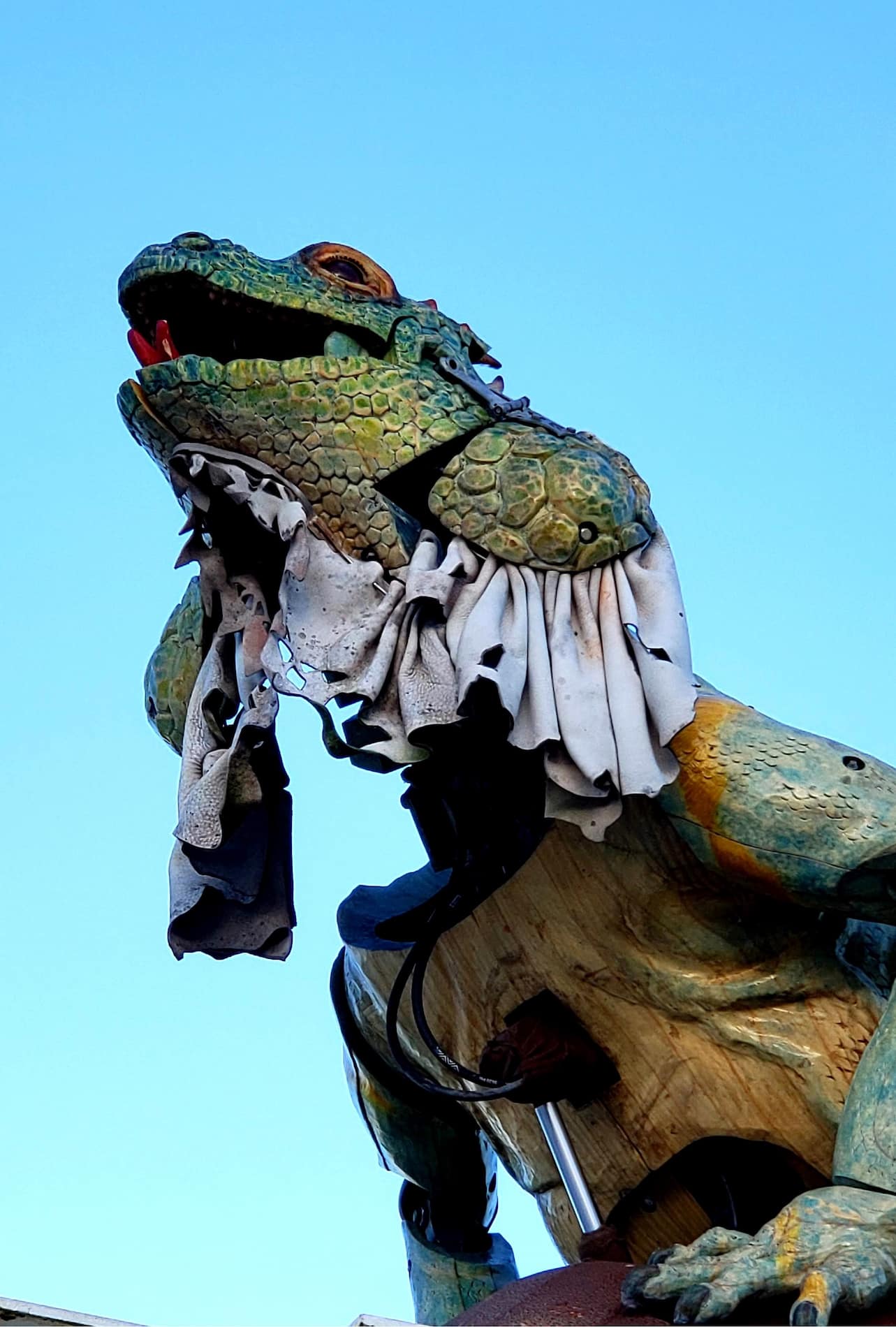 Sentinel Iguana Calais