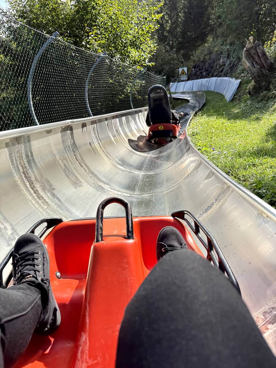 Sommerrodelbahn Garmisch Partenkirchen Sommerrodelbahn Garmisch Partenkirchen