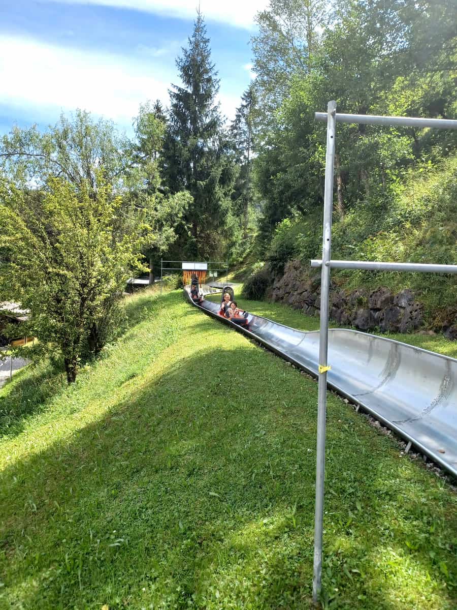Sommerrodelbahn Garmisch-Partenkirchen Sommerrodelbahn Garmisch-Partenkirchen