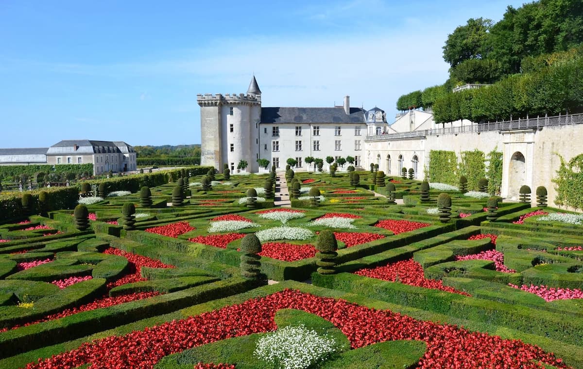 Spring Blooms Loire Valley Spring Blooms Loire Valley