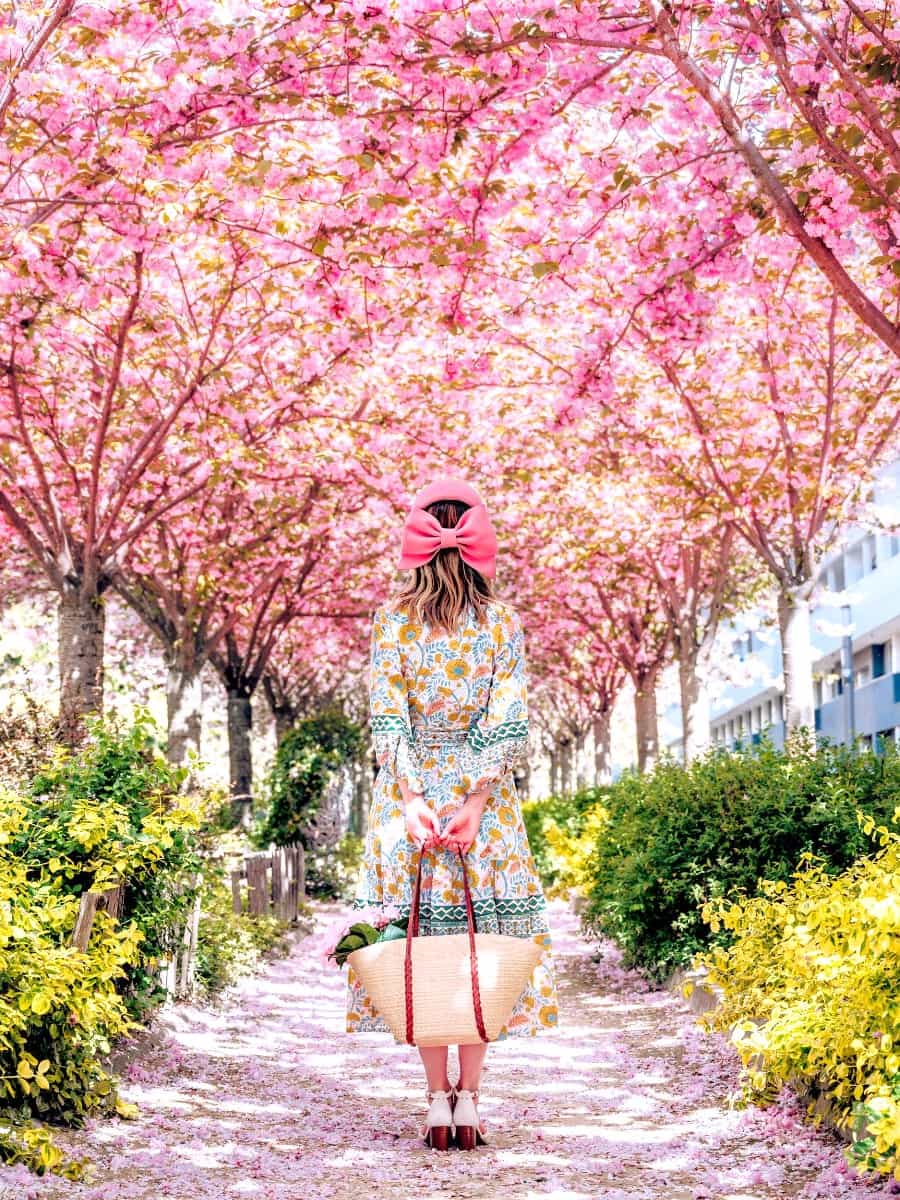 Spring Blooms in Le Marais Spring Blooms in Le Marais