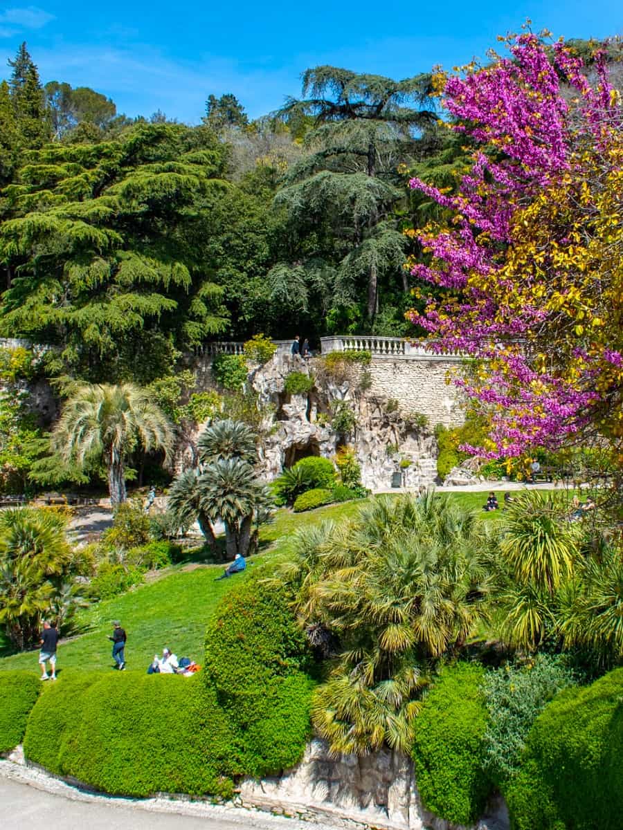 Spring Blooms in Nîmes Spring Blooms in Nîmes