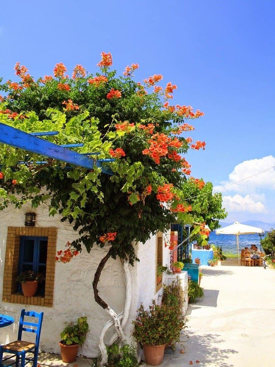Spring in Kos Town