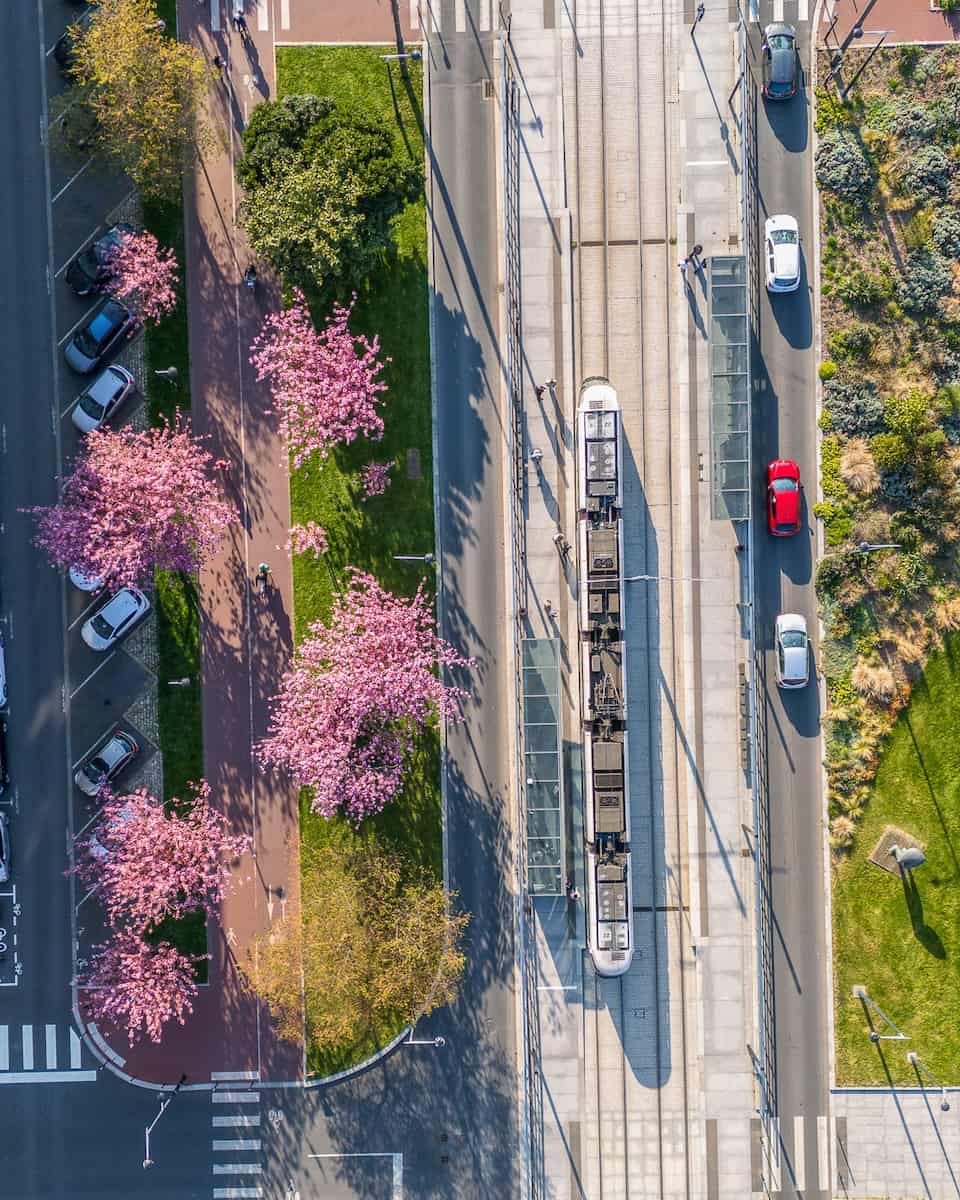 Spring in Le Havre Spring in Le Havre