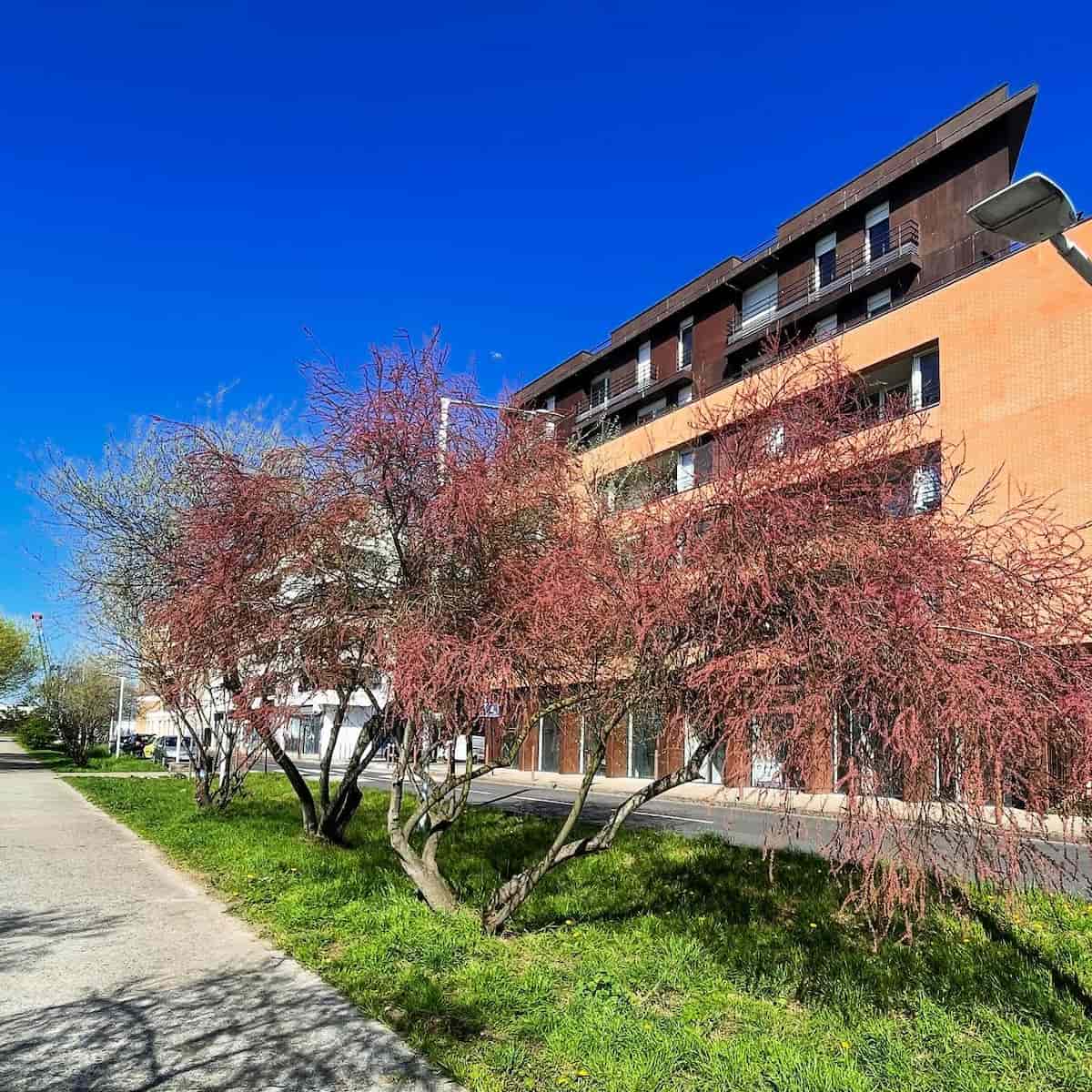 Spring in Le Havre Spring in Le Havre