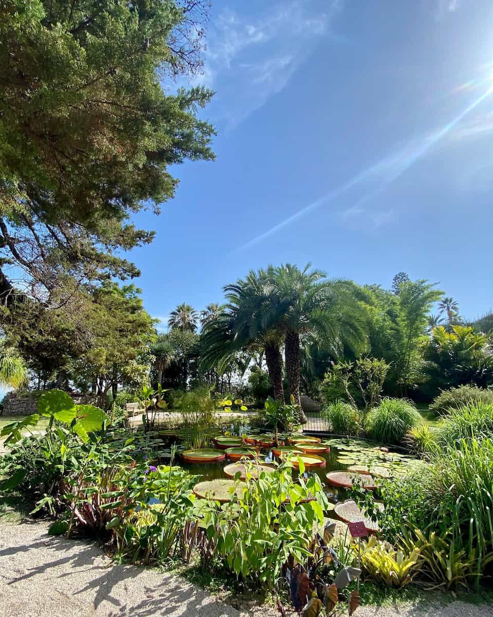 Spring in Menton Spring in Menton