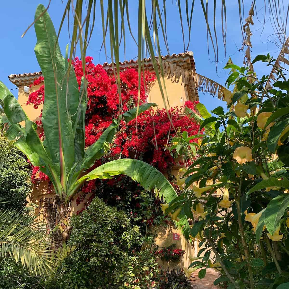 Spring in Menton Spring in Menton