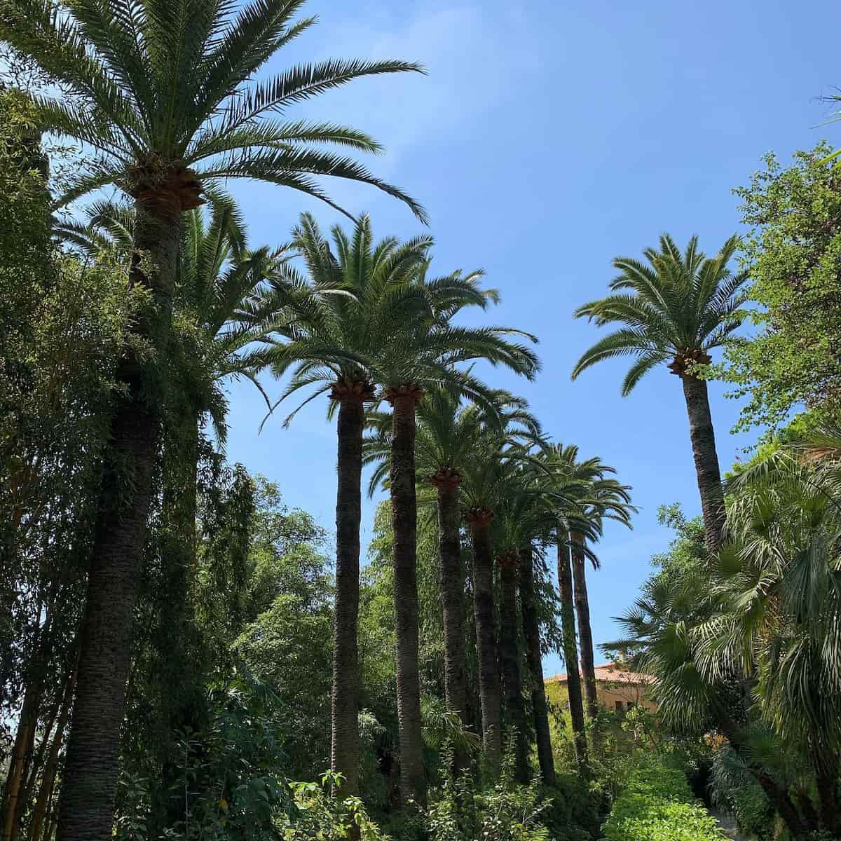 Spring in Menton Spring in Menton