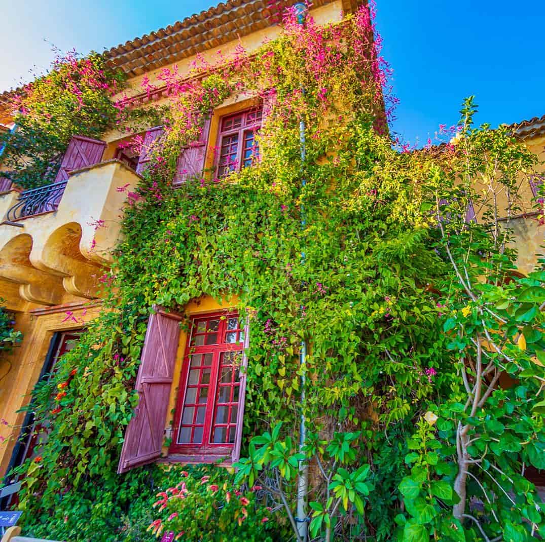 Spring in Menton Spring in Menton