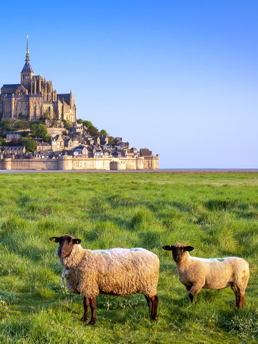 Spring in Mont-Saint-Michel Spring in Mont-Saint-Michel