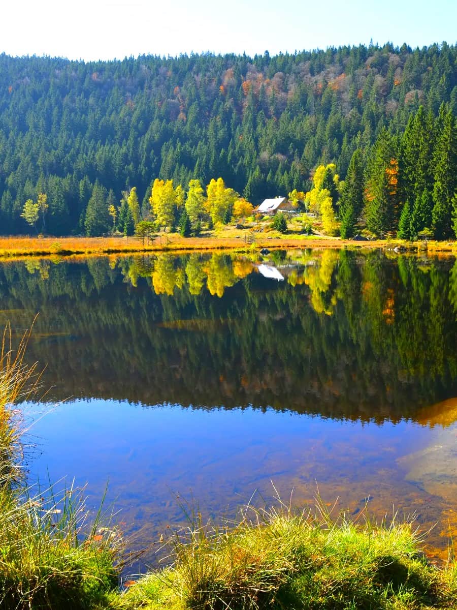 The Bavarian Forest National Park, Bavaria The Bavarian Forest National Park, Bavaria