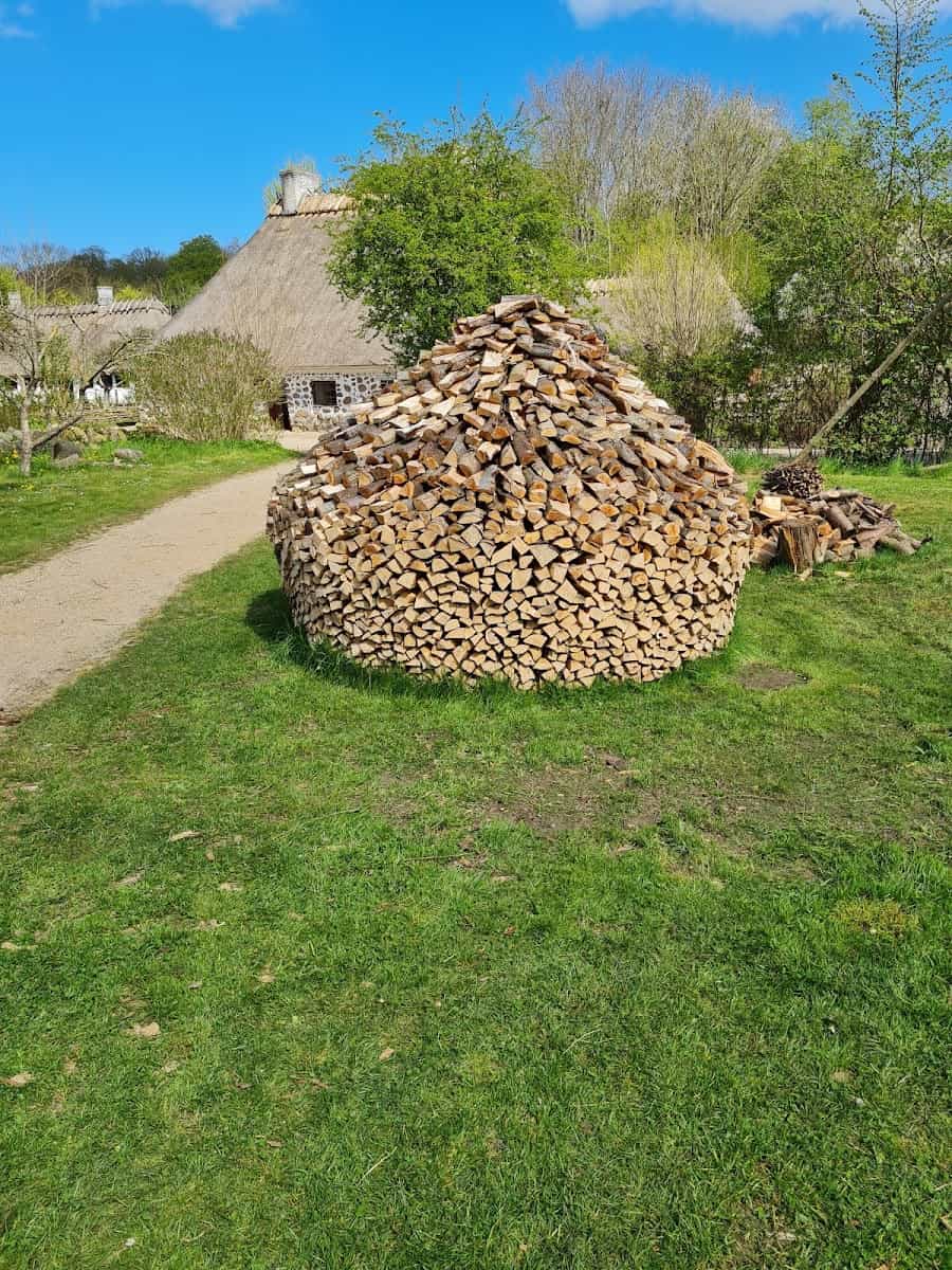 The Funen Village, Odense The Funen Village, Odense