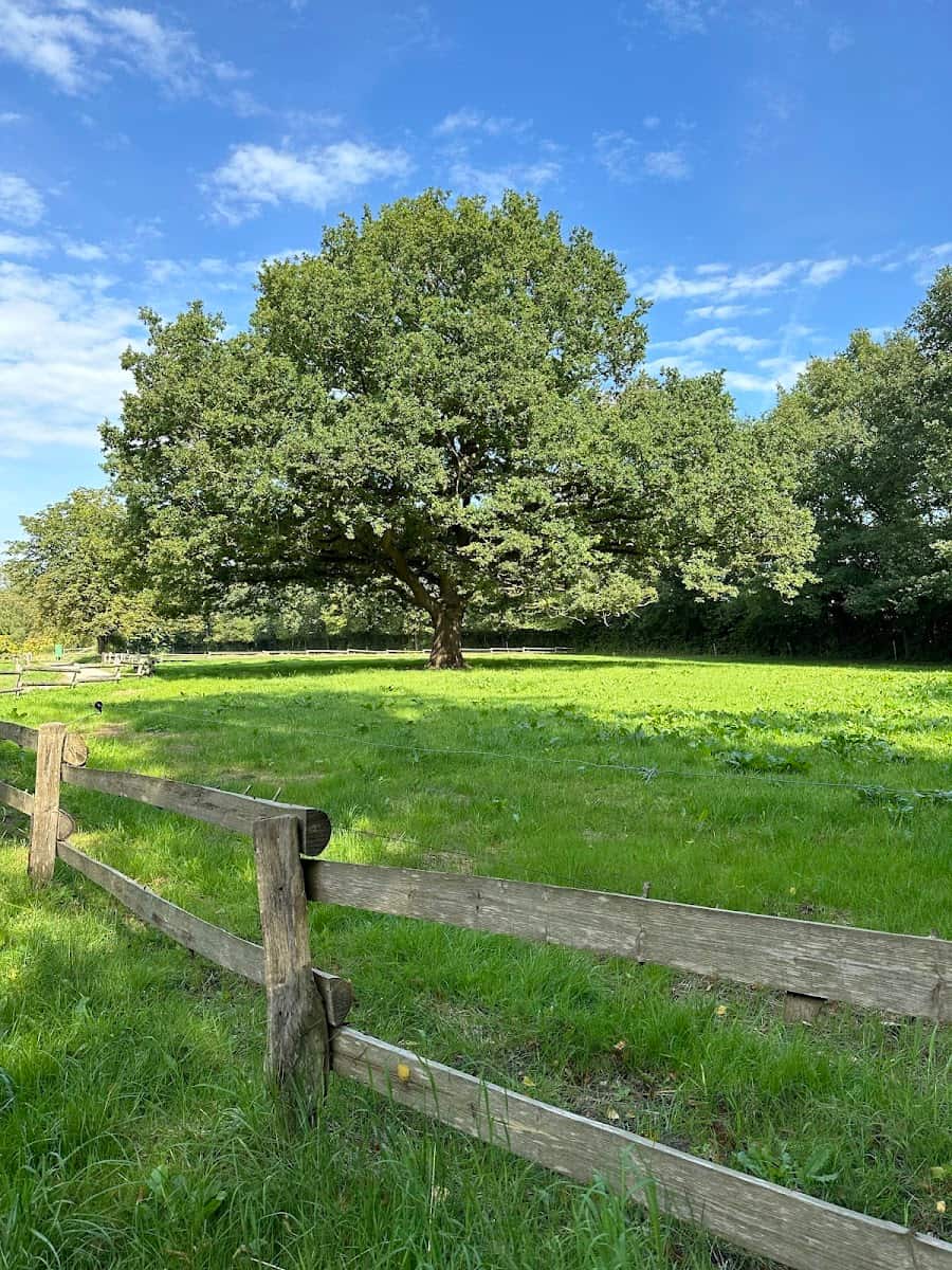 The Funen Village, Odense The Funen Village, Odense