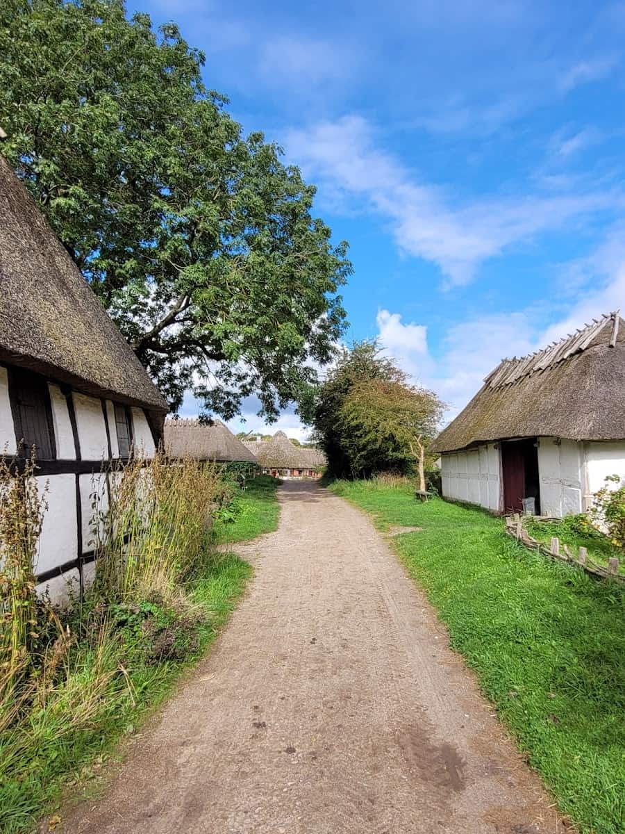 The Funen Village, Odense The Funen Village, Odense