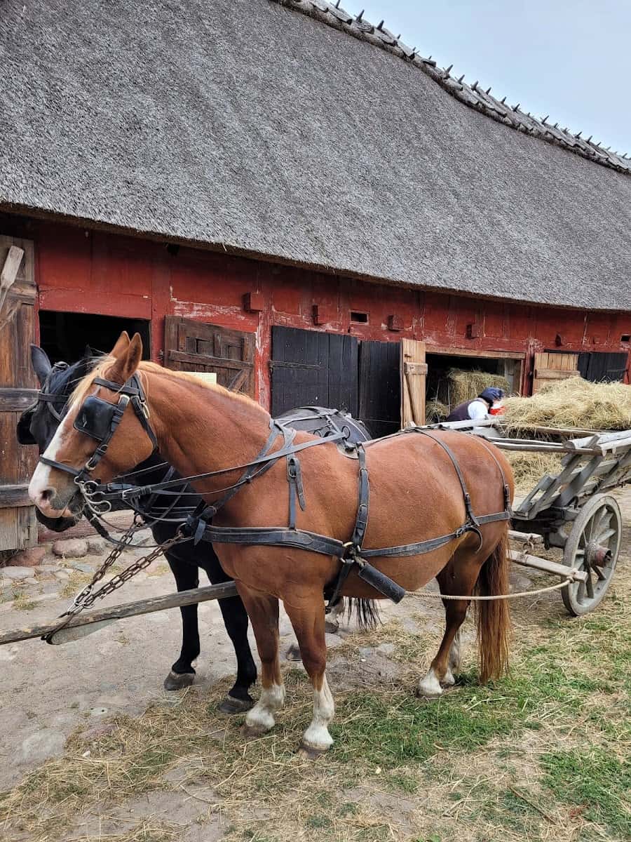The Funen Village, Odense The Funen Village, Odense