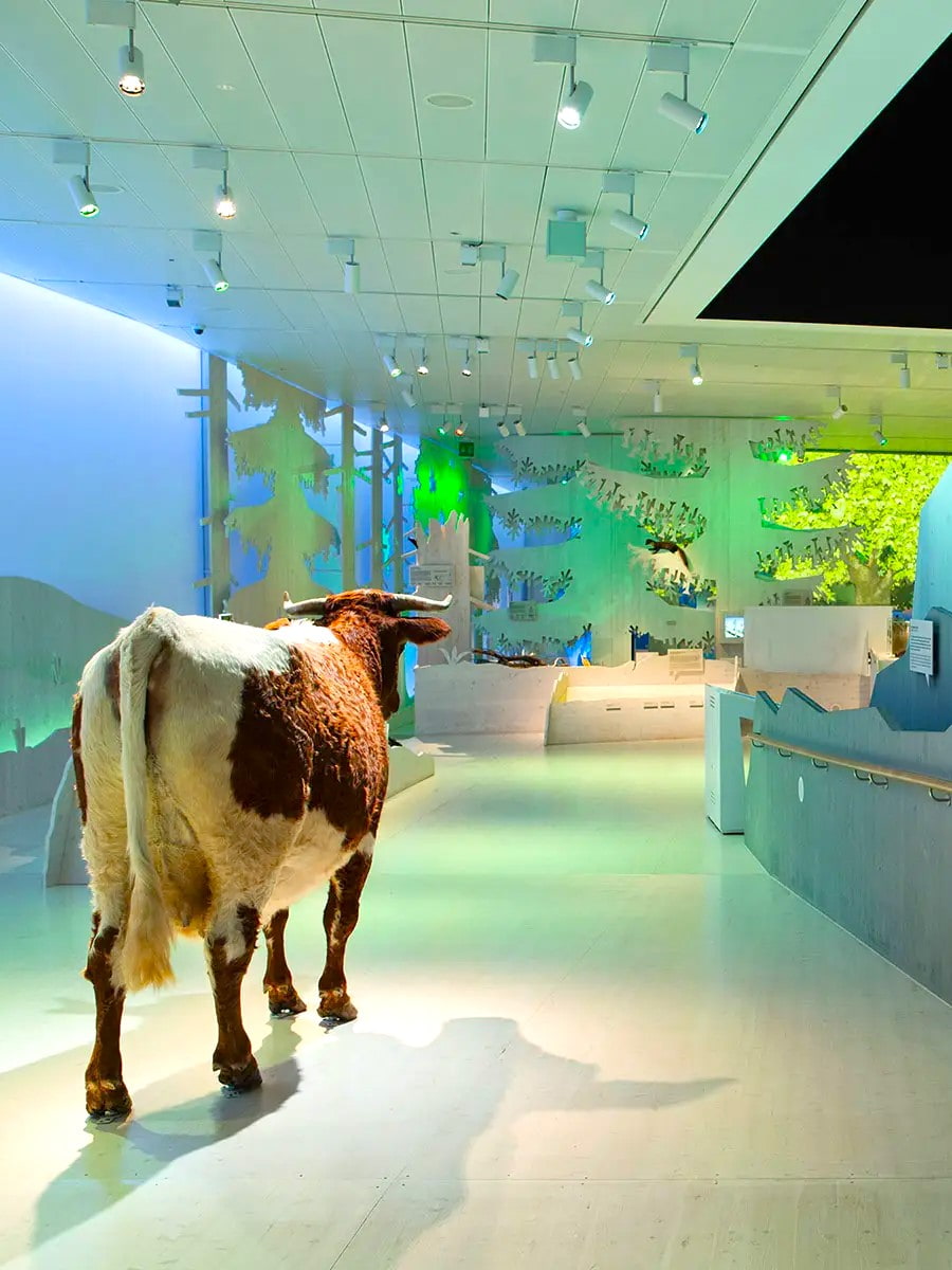 The Haus der Berge, Berchtesgaden The Haus der Berge, Berchtesgaden