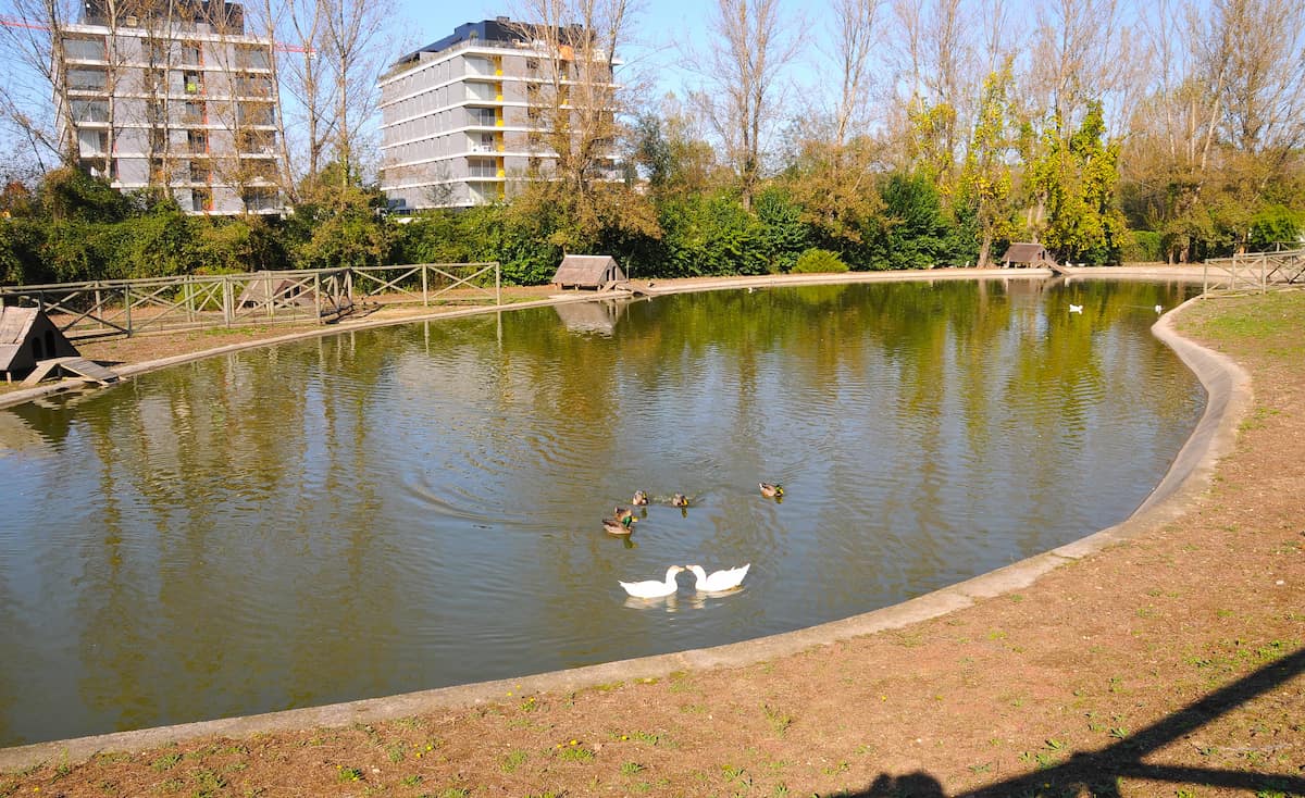The Quinta Pedagógica de Braga The Quinta Pedagógica de Braga