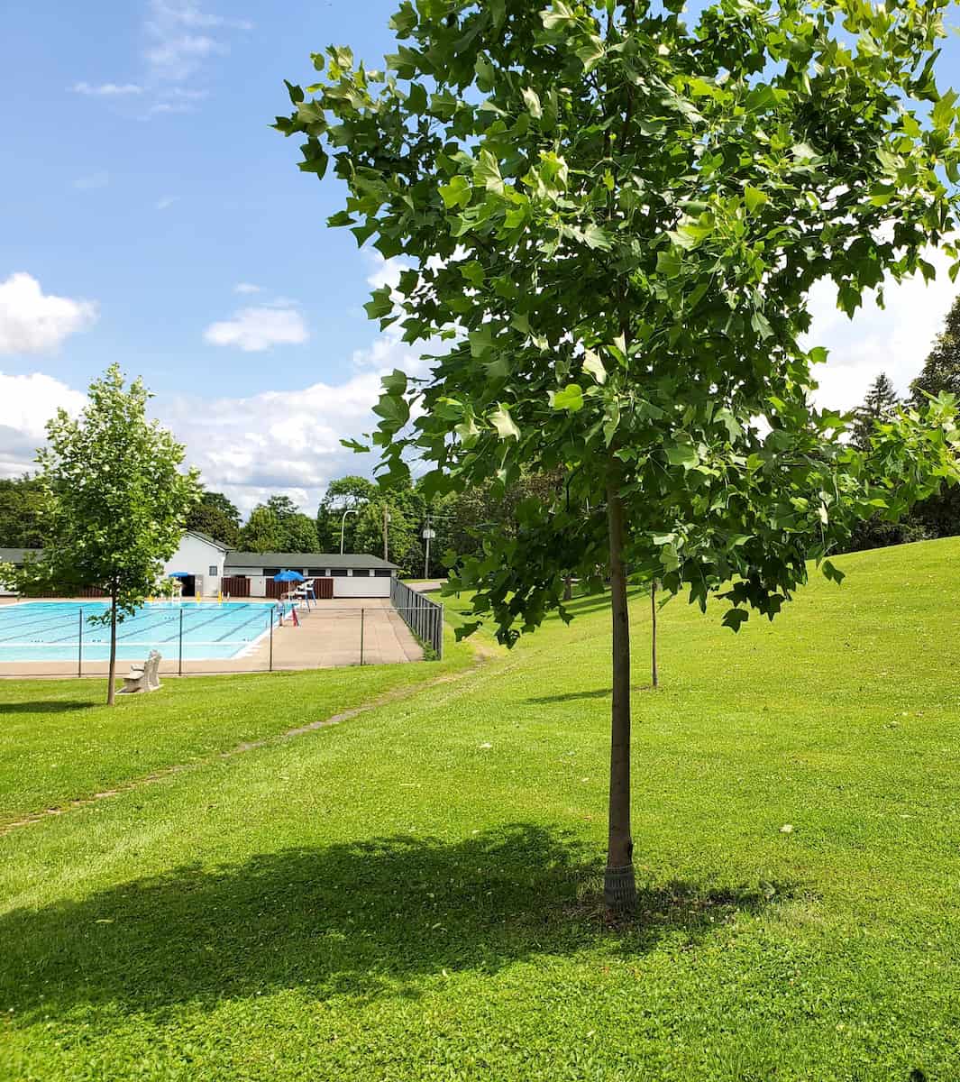 Thornden Park, Syracuse Thornden Park, Syracuse