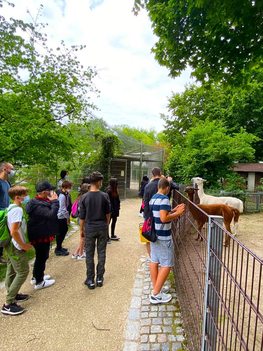 Tiergarten Ulm, Ulm Tiergarten Ulm, Ulm